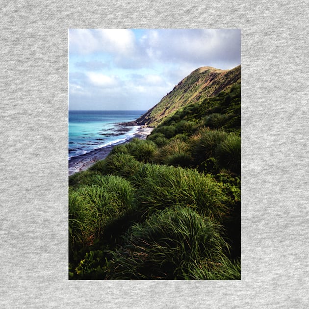 Coastal View, Maquarie Island by Carole-Anne